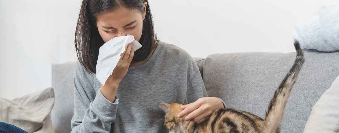 Luftreiniger gegen allergie