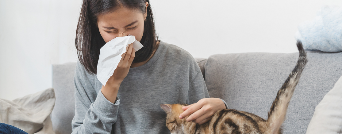 Hepa szűrős légtisztító az allergiás tünetek ellen