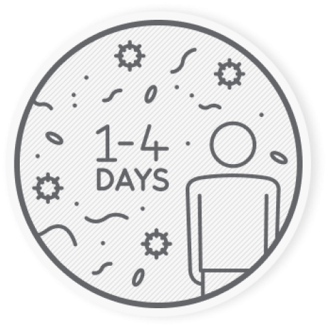 A vírussal fertőzött személyeknél 1-4 napon belül jelentkeznek a kellemetlen tünetek: orrdugulás, köhögés, láz, izomfájdalom vagy levertség.