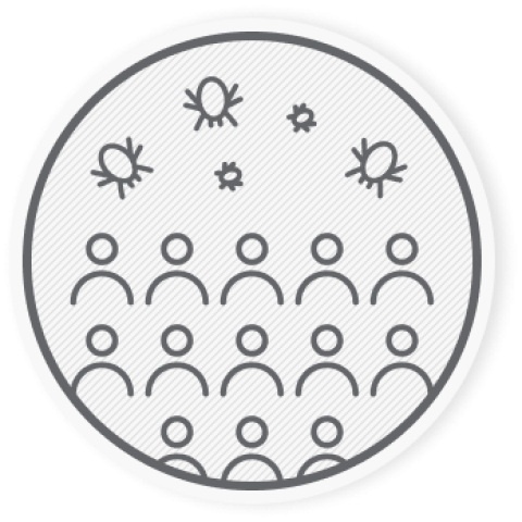 Évről évre egyre több az allergiás ember. Az allergia egyik leggyakoribb kiváltó oka a poratka.