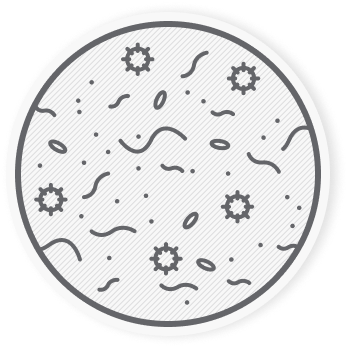 A házipor: emberi és állati hajból és szövetszálakból, gombaspórákból, száraz váladékokból, baktériumokból, valamint poratkákból és azok ürülékéből álló keverék.