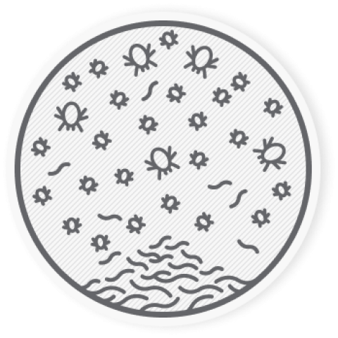 Naponta kb. 1,5 gramm hajszálat hullatunk el, ami több millió poratka táplálásához elég. Egy poratka pedig 20-40 darabka ürüléket termel egy nap alatt.