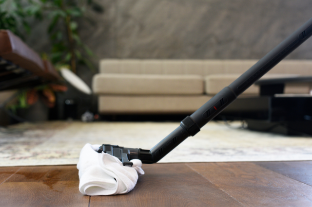 fertőtlenítés, tisztítás, száraz gőzzel - Richter gőztisztító készülék